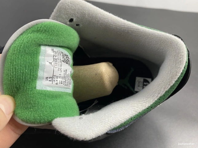 Reps LUCY Pine CT8532-030 Green Jordan 3 Air 0819